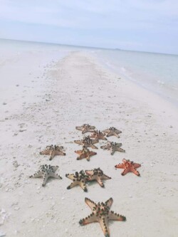 Pandilusan Island
